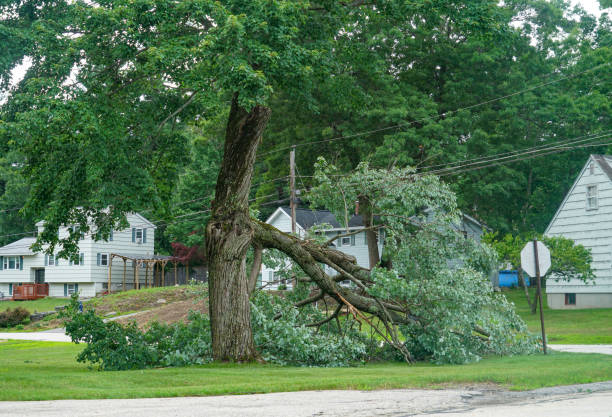 Seasonal Cleanup (Spring/Fall) in Ragland, AL